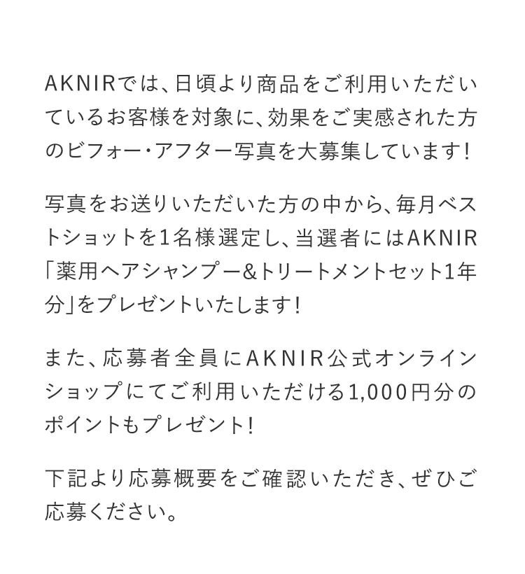 案内文